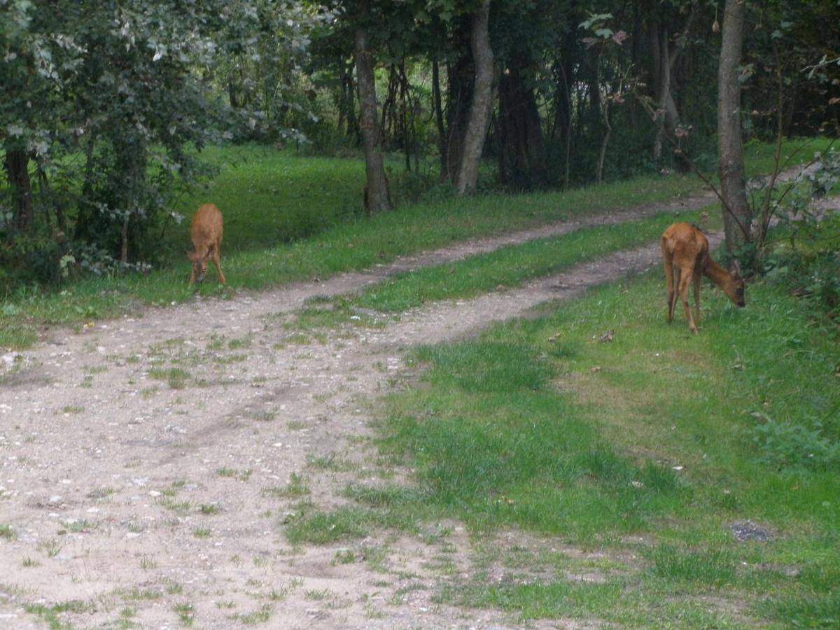 Bed & Breakfast La Caronniere
